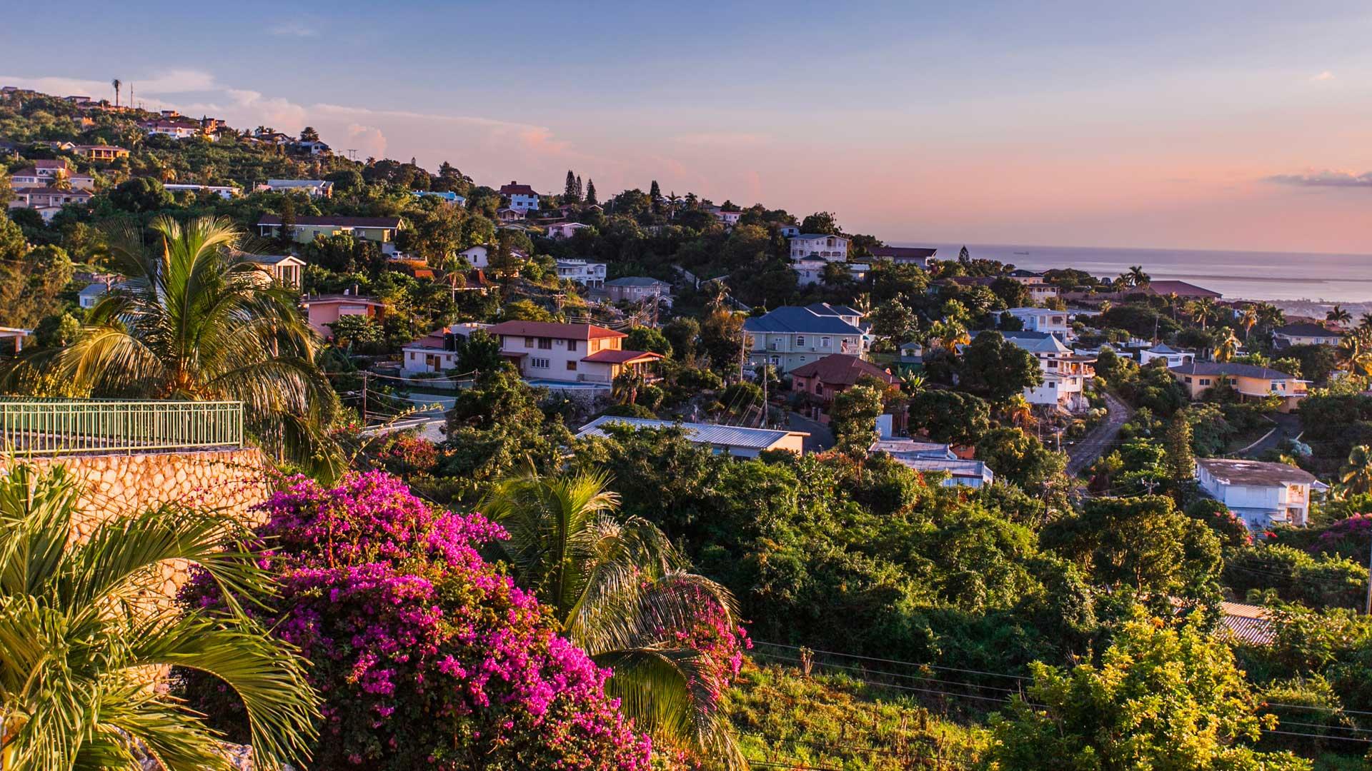 Vue panoramique de Kingston en Jamaïque, au coucher du soleil, ses maisons construites à travers une végétation luxuriante et la mer au loin.