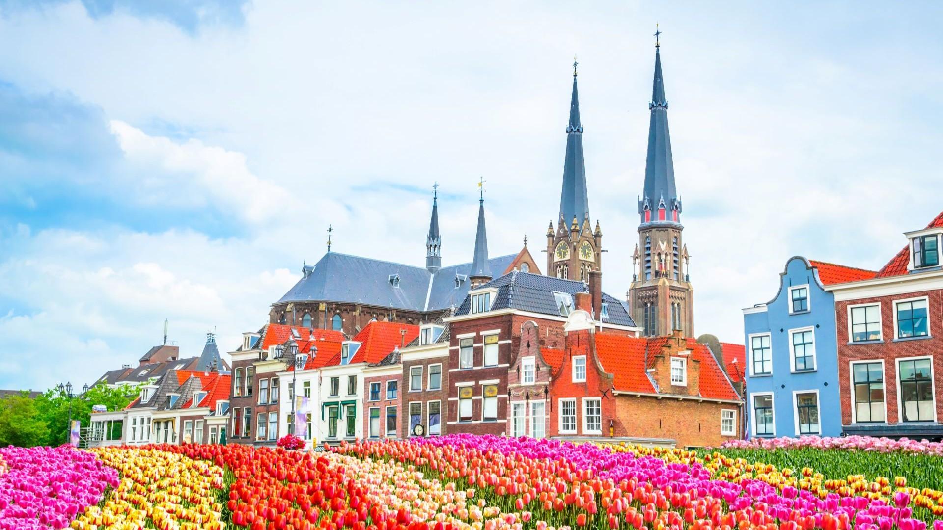 Dutch spring in full glory