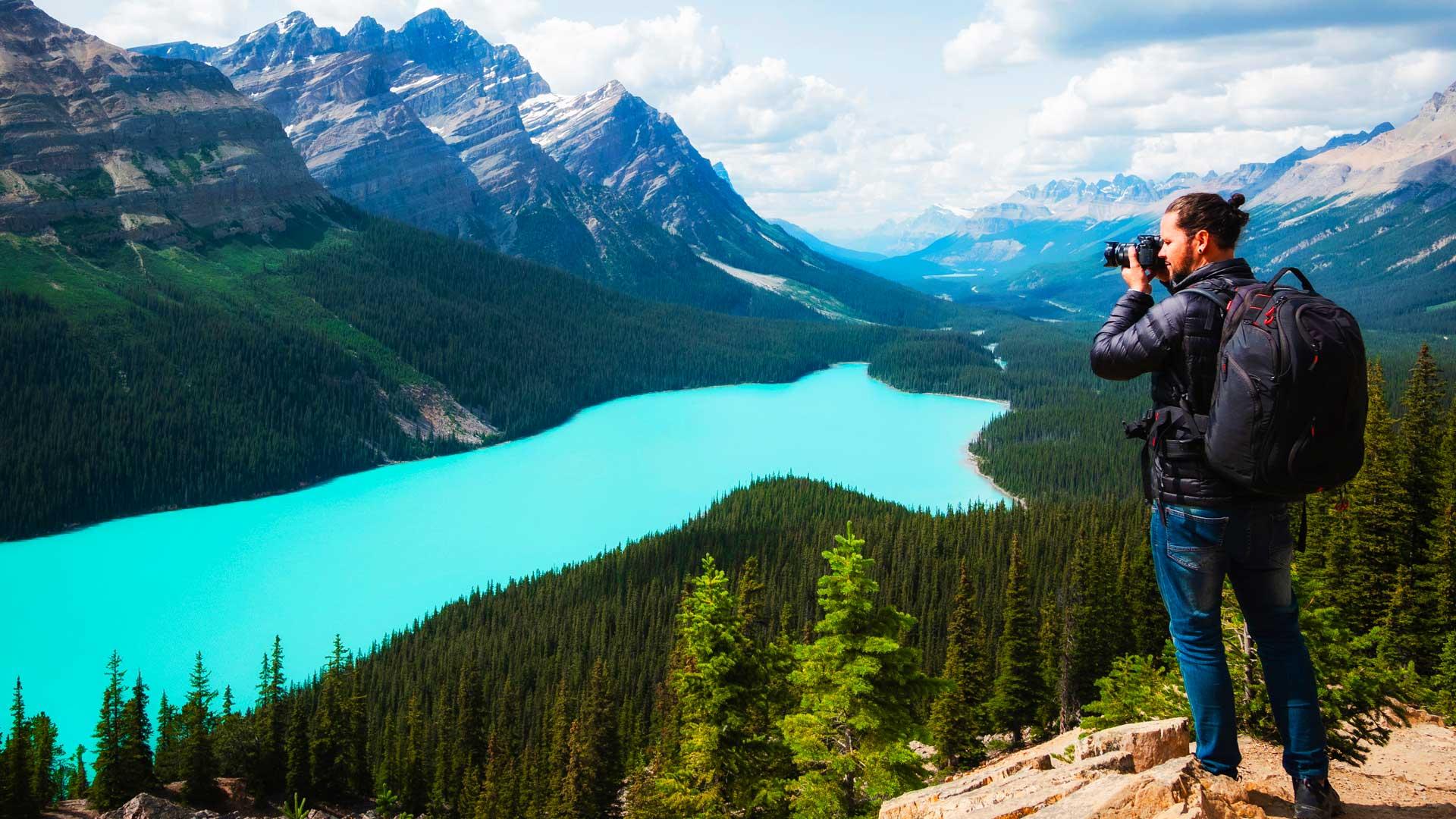 Lac Peyto à Banff en Alberta avec son eau turquoise, entouré de forêts boréales et des Rocheuses canadiennes sous un ciel bleu.