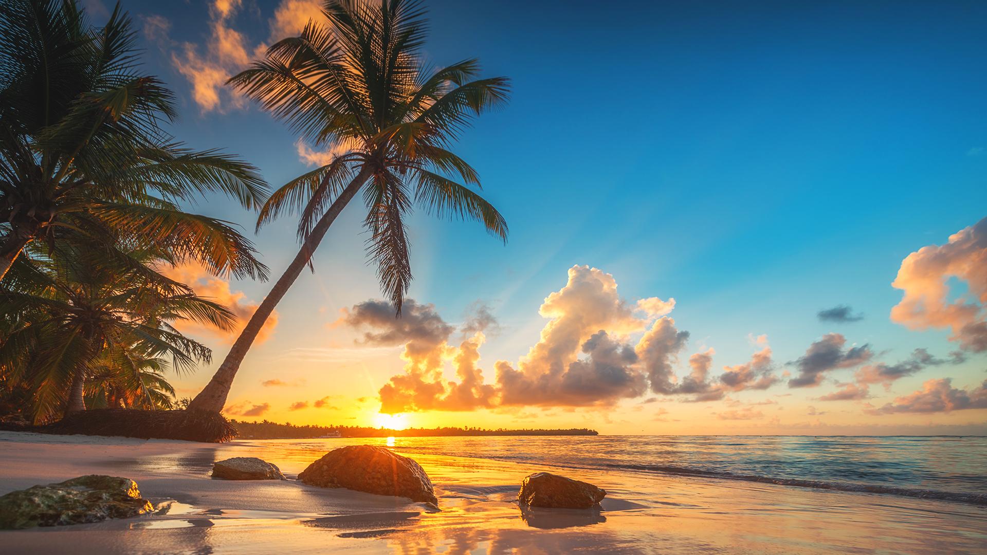 Plage de Punta Cana avec palmiers au coucher du soleil, reflets dorés sur l’eau calme et ciel aux couleurs chaudes.