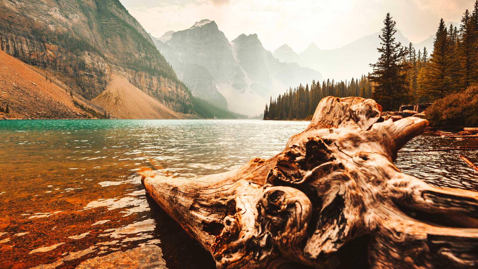 Lac Moraine à Banff et ses eaux bleu vif, reflétant les sommets escarpés des Rocheuses, entouré d’une forêt de conifères.
