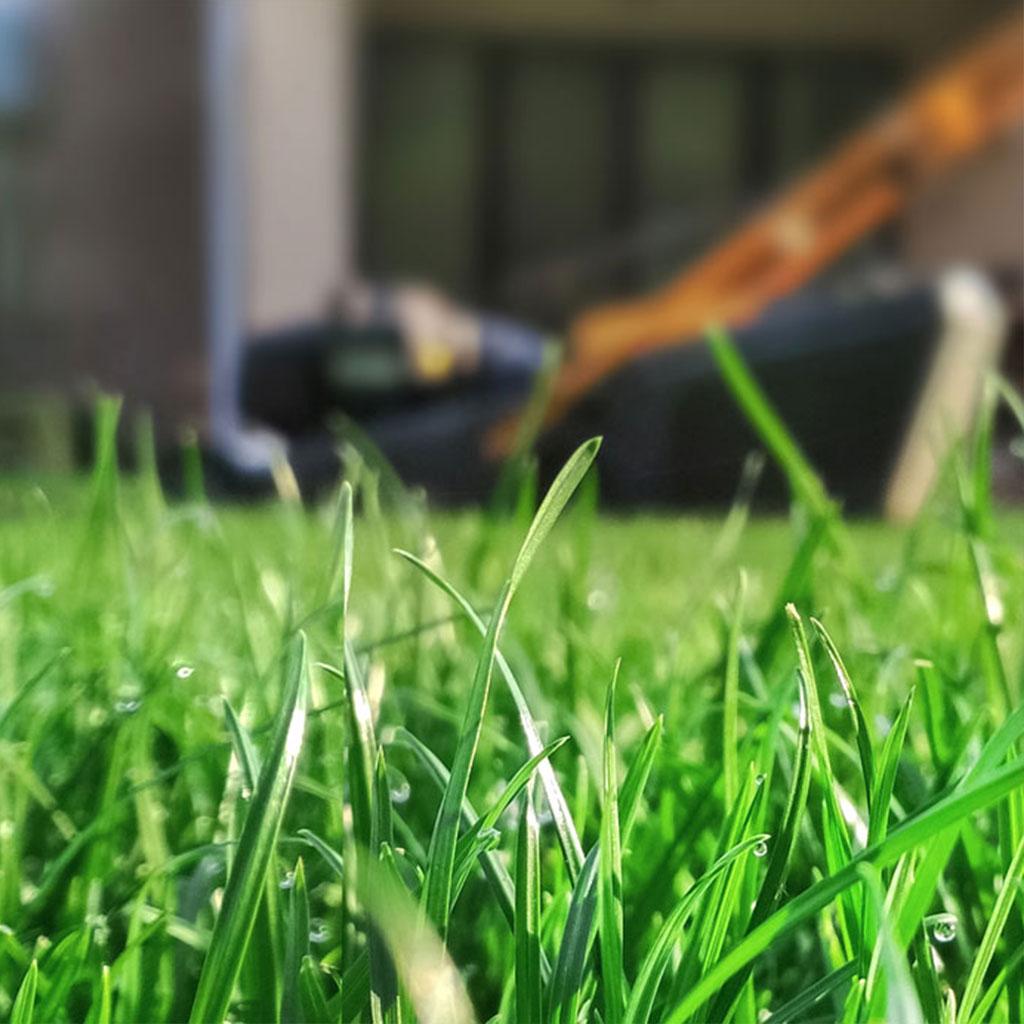 1024X1024_guide-entretien-pelouses.jpg