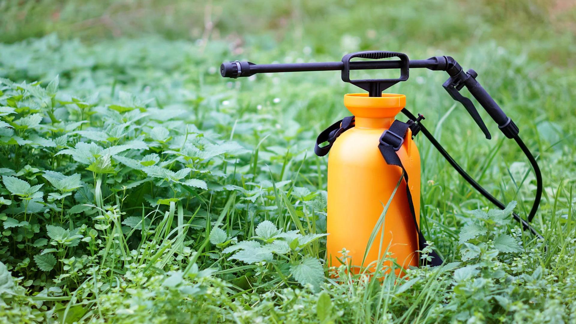 1920X1080_guide-pesticides.jpg
