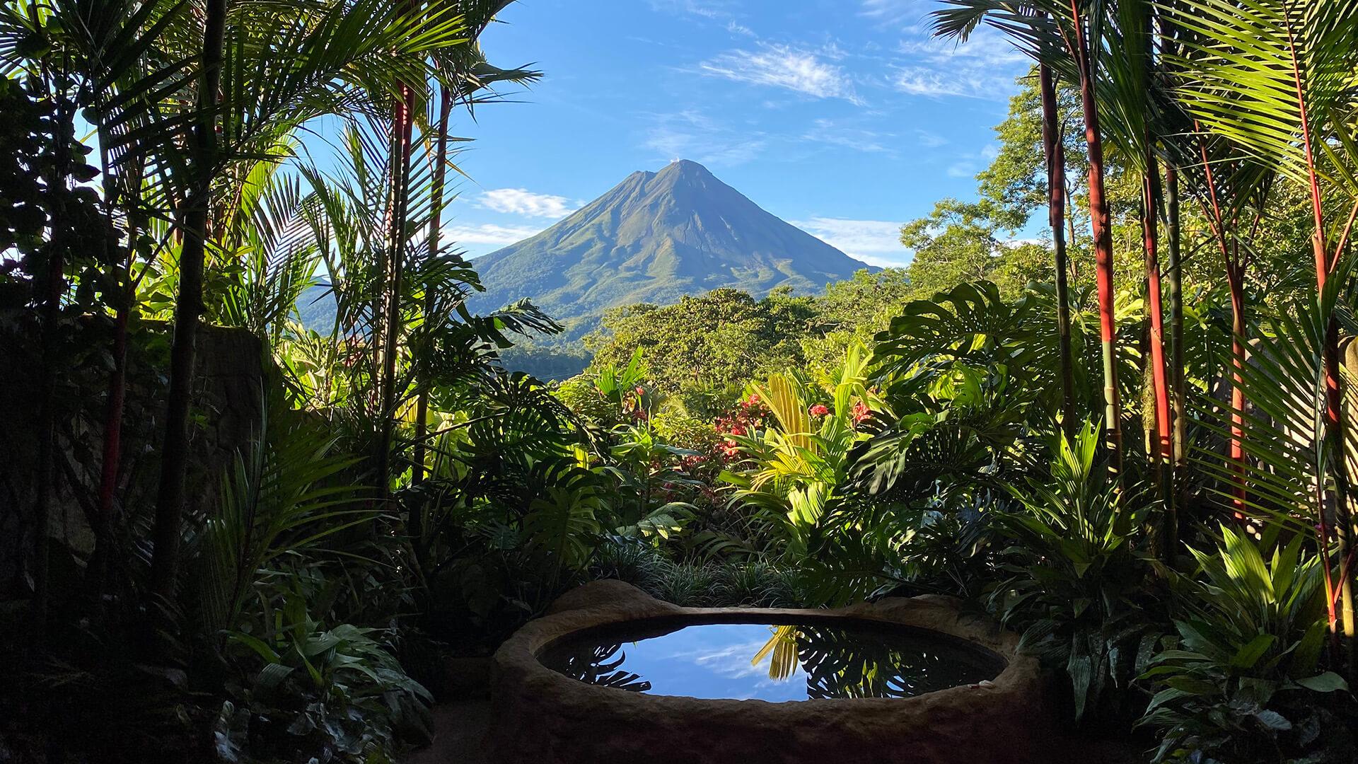 Pura vida