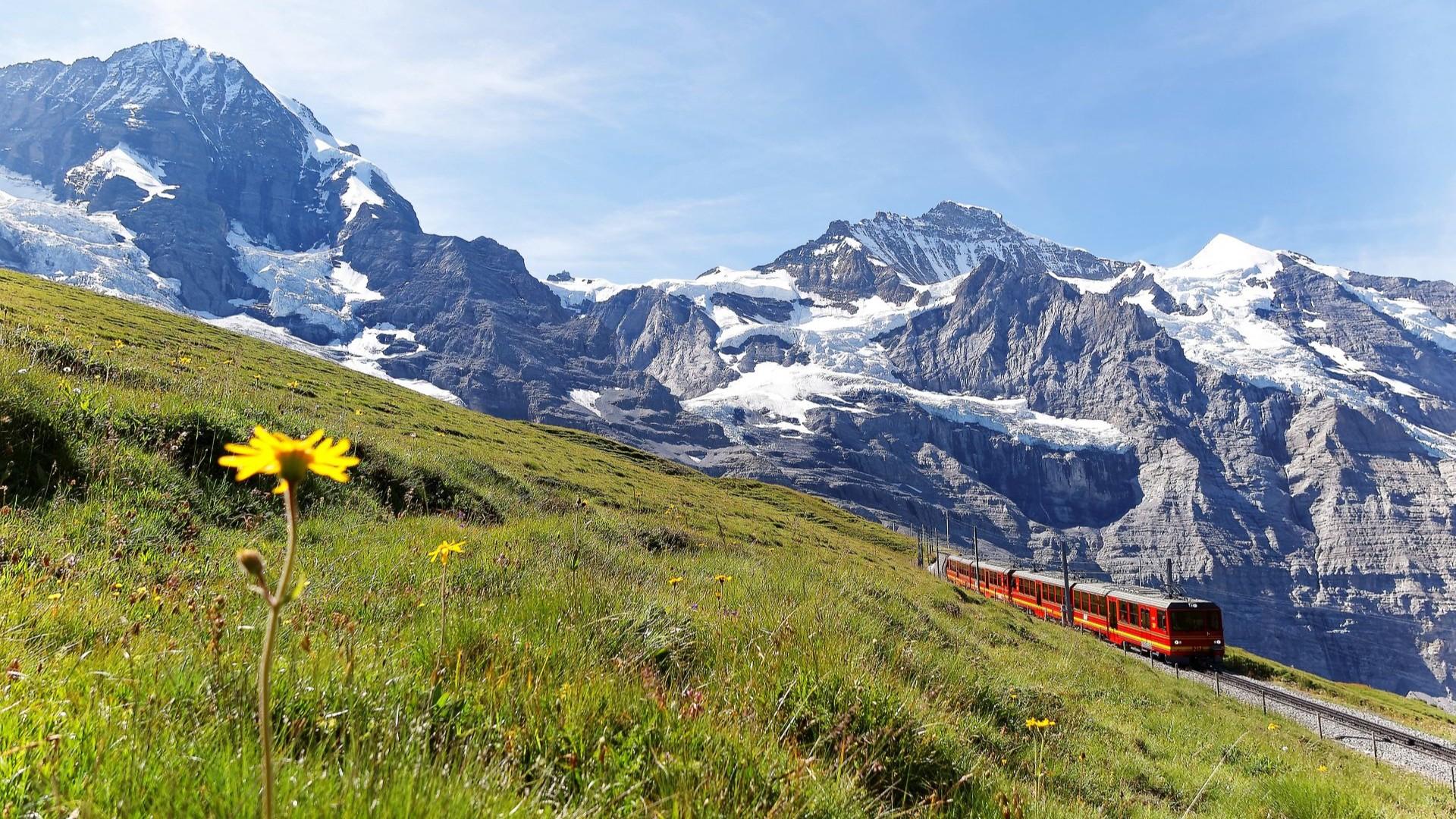 From the Wine Route to Alpine Peaks