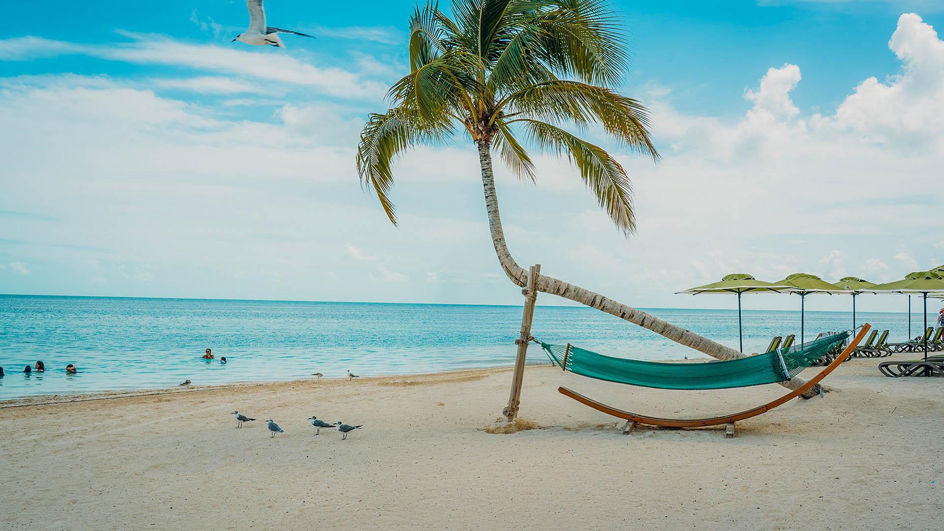 The Call of the Tropics: From Miami to CocoCay