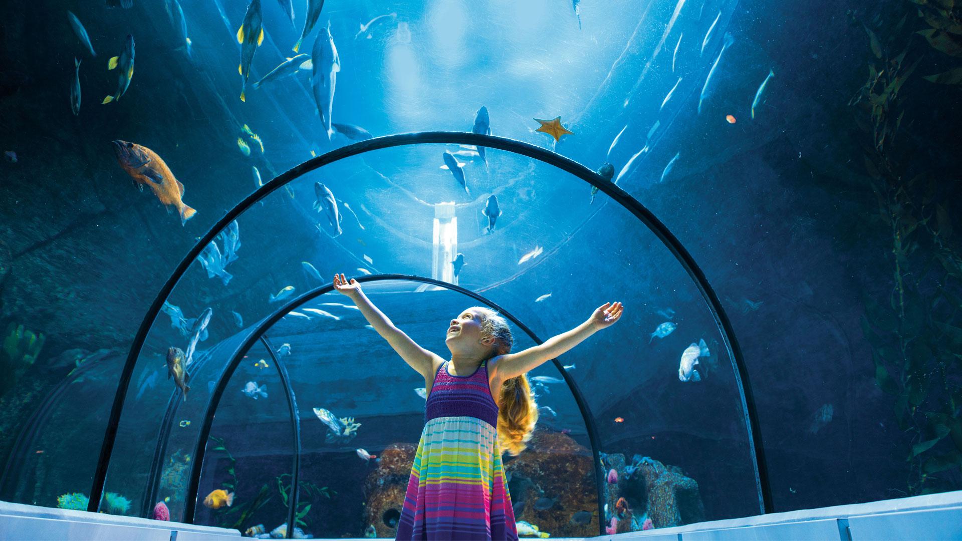 Aquarium du Québec