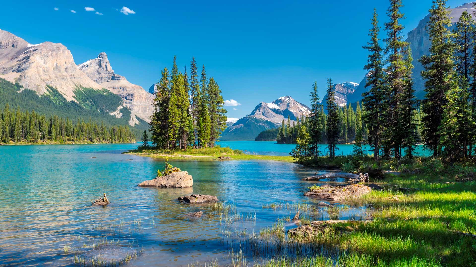 Lac Maligne à Jasper avec son eau turquoise bordée de pins, l’îlot Spirit Island et les Rocheuses en arrière-plan.