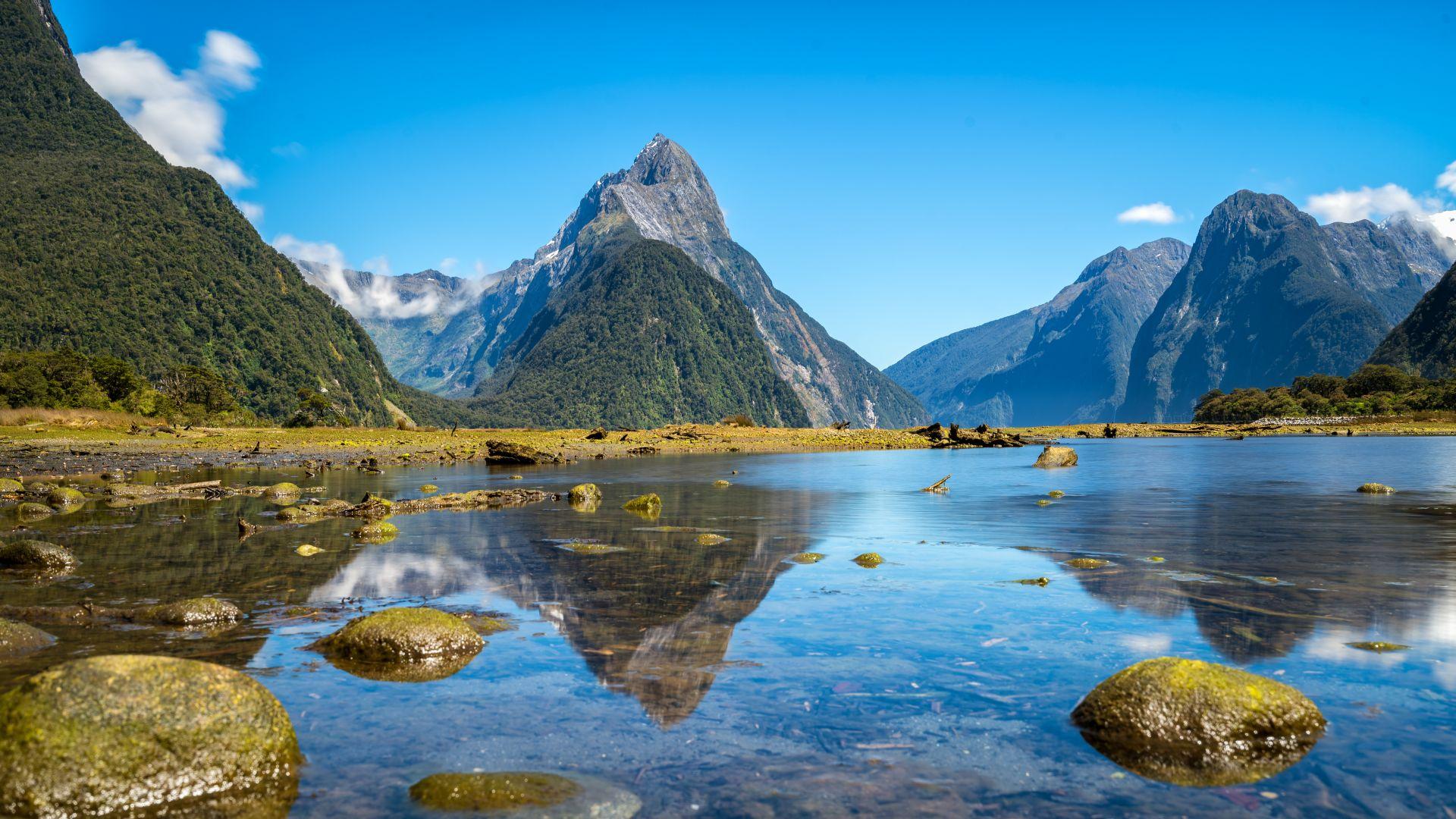 Entre fjords et rivages australs