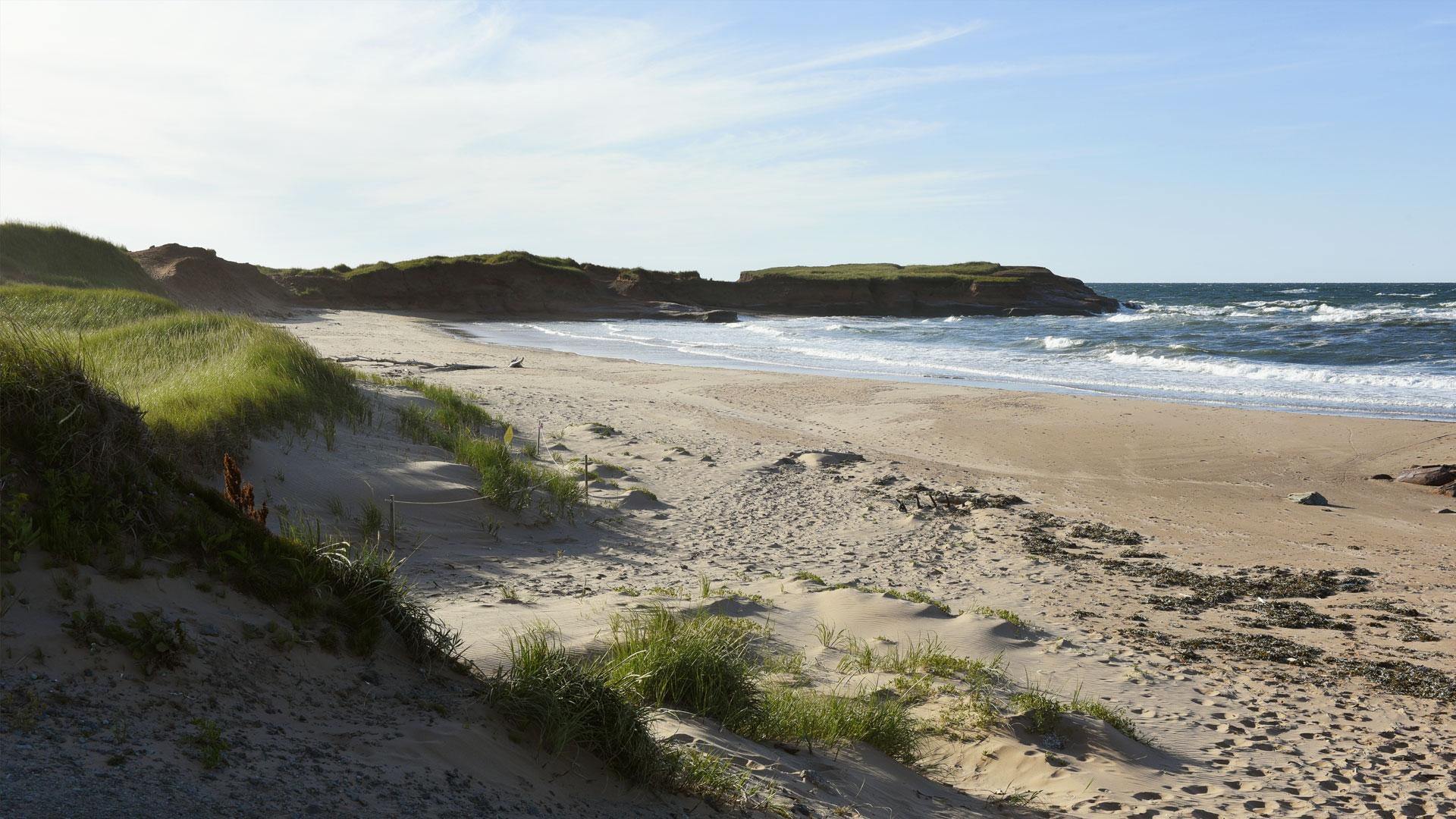 Plage de sable et dunes herbeuses dans le village de Fatima aux îles de la Madeleine sous un ciel bleu.